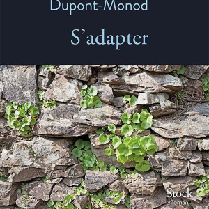 S'adapter