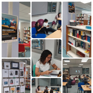 Collage_2025-10-02_13_56_36